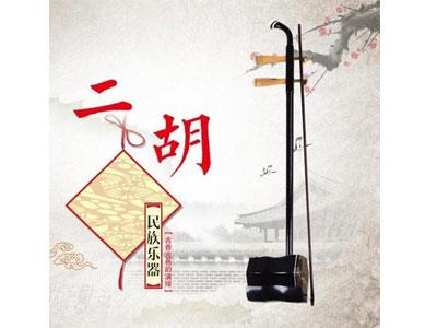 招聘酒泉二胡家教老师